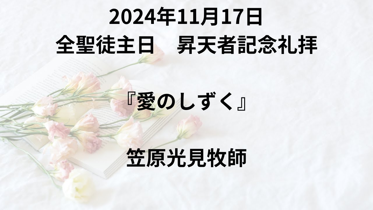 20241117 Youtube
