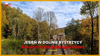 [Cab Ride] Jedlina-Zdrój - Świdnica Miasto (Koleje Dolnośląskie, Poland) - Train Driver's view