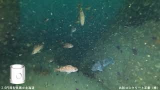 【水中映像】魚礁　3.0円筒型魚礁@北海道門別【Underwater】