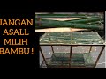 TIPS MEMILIH BAMBU YANG BAGUS UNTUK KANDANG AYAM#bambuapus#manfaatbambu