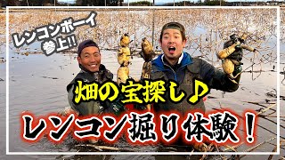 レンコンを掘って掘って掘りまくりました！【特別企画】