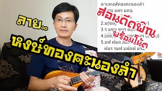 สอนดีดพิณ ลายหงษ์ทองคะนองลำ พร้อมโน้ต|หนิง ซิงกิ รีวิวบรรเลง|ning singi [how to play phin]