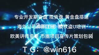 开发期货盘、现货盘及黄金盘交易所搭建 欧美大区策划 马来股转 币转合约 资金盘 币圈项目 策划包装 海外公司注册牌照 授权盗U培训教学