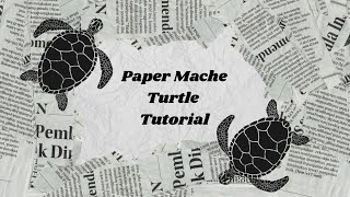 Paper Mache Turtle: TUTORIAL