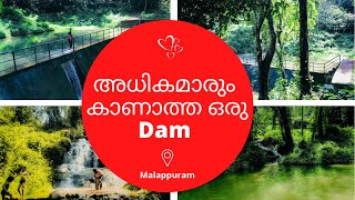 Edattapara Waterfall Malappuram | Kodur #kerala#malappuram #waterfall