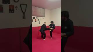 TECNICHE DI REAL AIKIDO NEL COMBAT-JUTSU SHORT. WSDA AREZZO MAESTRO 6° DAN LUCIO PICCIOLI