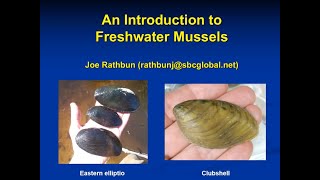 2022 MiCorps Introduction to Freshwater Mussels