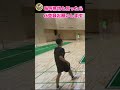 この動画ヌけないw【バウンドテニス】＃ shorts