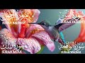 Surah Yaseen (Yasin) | Surah Rahman | Surah Waqiah | Surah Mulk | Beautiful Quran Recitation EP:040