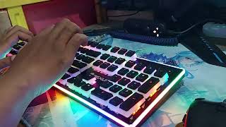 Rexus Legionare MX10 (modded) Sound Test - This keyboard is even brighter than my future