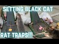 Black Cat Rat Trap setting. How to set Black Cat rat traps & how to bait traps for best results!