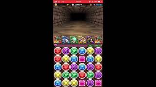 【パズドラ】ランキングダンジョン 第１回パズチャレ杯 155,116点