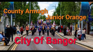 County Armagh Junior Orange - Bangor