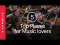 5 Things to do for Music Lovers in Vienna