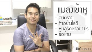 แมลงเข้าหูรักษาอย่างไร?