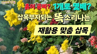 #제라늄 삽목부자 되는 재활용 삽목,  단체삽목, 물꽂이와 삽수별  맞춤 삽목 꿀팁  /뿌리 영양제 추천 #꽃#식물 #베란다 정원 #가드닝 #geranium