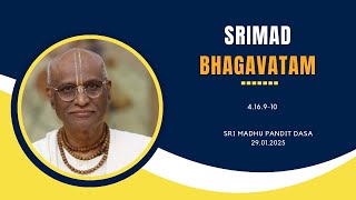 Srimad Bhagavatam | Sri Madhu Pandit Dasa | SB 4.16.9-10 | 29.01.2025