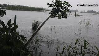 Village Rainy day in Bangladesh