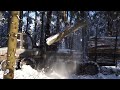 forwarder logset 6f logging in beautiful snowy winter forest