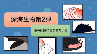 深海生物第2弾‼︎ 深海は謎に包まれている