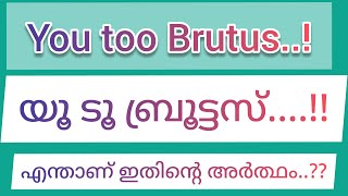 You too Brutas meaning....! യൂ ടൂ ബ്രൂട്ടസ് എന്ന വാക്കിന്റെ അർഥം എന്താണ് ??? #youtoobrutas