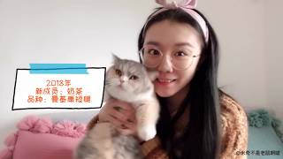 小奶猫刚到家时被欺负，进化成橘猪后对两位哥哥进行反击！