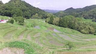 鴨川大山千枚田（東京都心から一番近い棚田・日本の棚田百選）