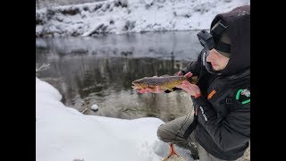 2019 Sezonas prasideda (Trout Fishing / Upėtakių Žvejyba)