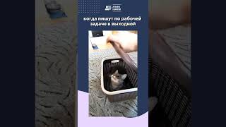 Желаем всем отличных выходных!