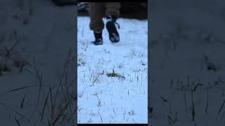 Gathering Sticks in the First Snowfall // Winter Bushcraft