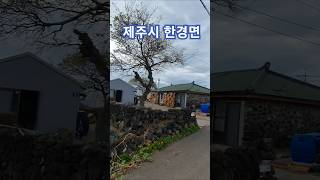 제주도 단독주택 매매 2억7500