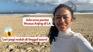 Pantai khusus Anjing di LA-California (Beach Dog in LA-California) (English subtitle)