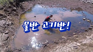 물반 고기반!