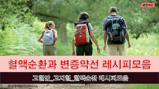 변증약선: 제1강 혈액순환과 변증약선-4/4