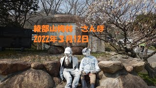 綾部山梅林 　2022年3月12日