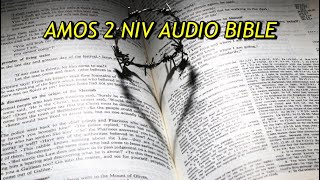 AMOS 2 NIV AUDIO BIBLE(with text)