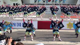 だるま／中央公園競演場／第62回よさこい祭り2015（二日目）