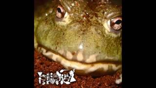 Phyllomedusa - Untitled Frog Worship (Full Album)