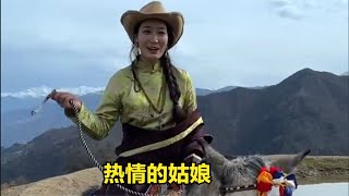 遇到一个骑马放牛的藏族姑娘，热情待客