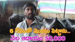 Successfull farmer in Dairy farming | 6 గేదెల తో పెట్టాను..ఇప్పుడు నా నెల ఆదాయం 50,000 | CBNews