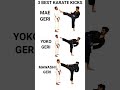 3 most important karate kicks maegeri yokogeri mawashigeri