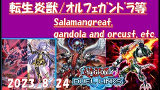 8/24:ｶﾞﾝﾄﾞﾗｵﾙﾌｪ,転生炎獣等でﾗﾝｸﾏｯﾁやﾐﾆNAO杯【遊戯王デュエルリンクス】gandola,salaman,etc【duel links】