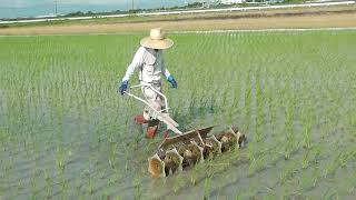 除草機作業　神田　免疫力　自然農法　無肥料・無農薬栽培　コシヒカリ　最高級　自然栽培 ふるさと納税　返礼品 宇宙　エネルギー