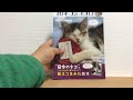 アマゾンでは売り切れになっている猫の本「和ネコのココロ」をコンビニで買いました。中身は・・・これは値段より価値ありかも＾＾