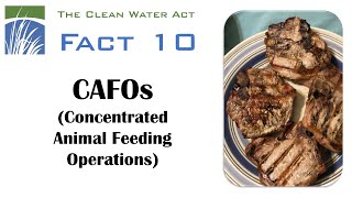 CWA Fact 10: CAFOs