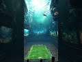 incredible underwater football field – you won’t believe this amazing location