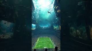 Incredible Underwater Football Field – You Won’t Believe This Amazing Location!