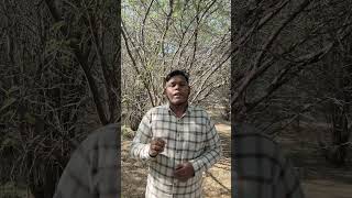 FIR இருந்தா Passport கிடைக்குமா? | Know Your Rights #shorts