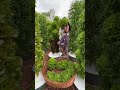 you can grow over 160 different crops on aeroponic towers farming gardening agriculture