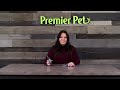 how to pair the collar u0026 remote and add a second dog to the premier pet trainer